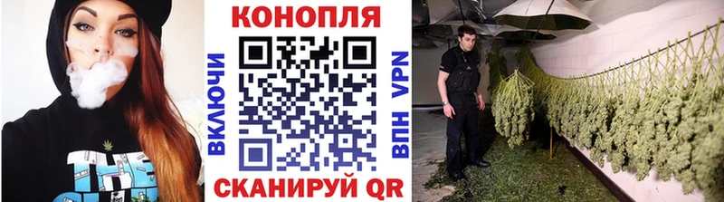 МАРИХУАНА планчик Сертолово